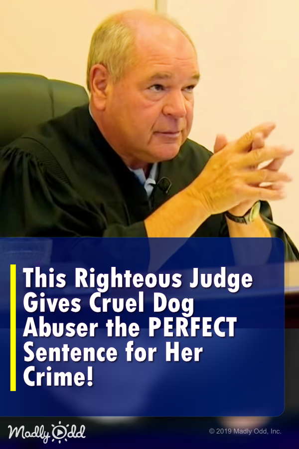 A Righteous Judge Gives This Cruel Dog Abuser the Perfect Sentence for Her Crime!