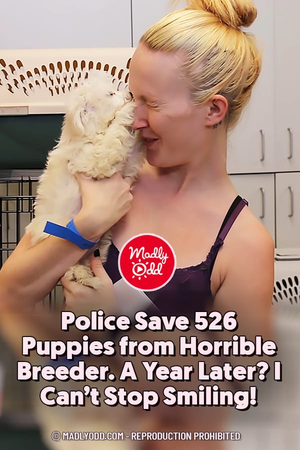 Police Save 526 Puppies from Horrible Breeder. A Year Later? I Can\'t Stop Smiling!