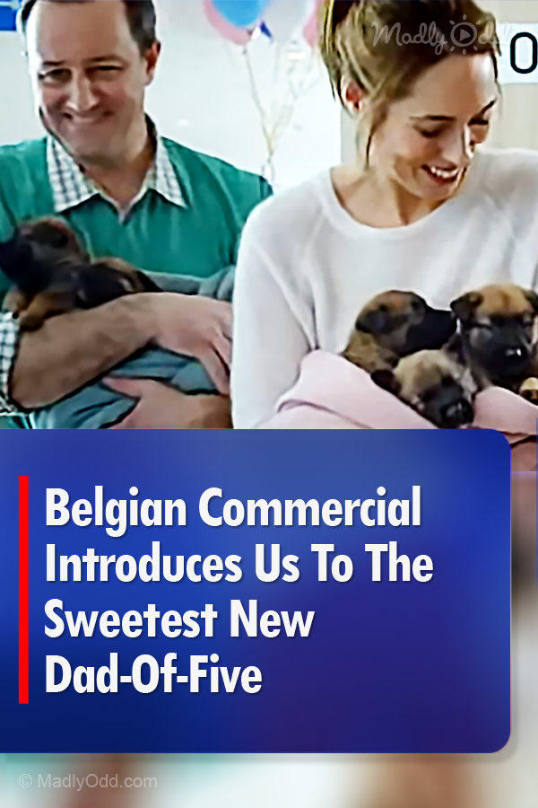Belgian Commercial Introduces Us To The Sweetest New Dad-Of-Five