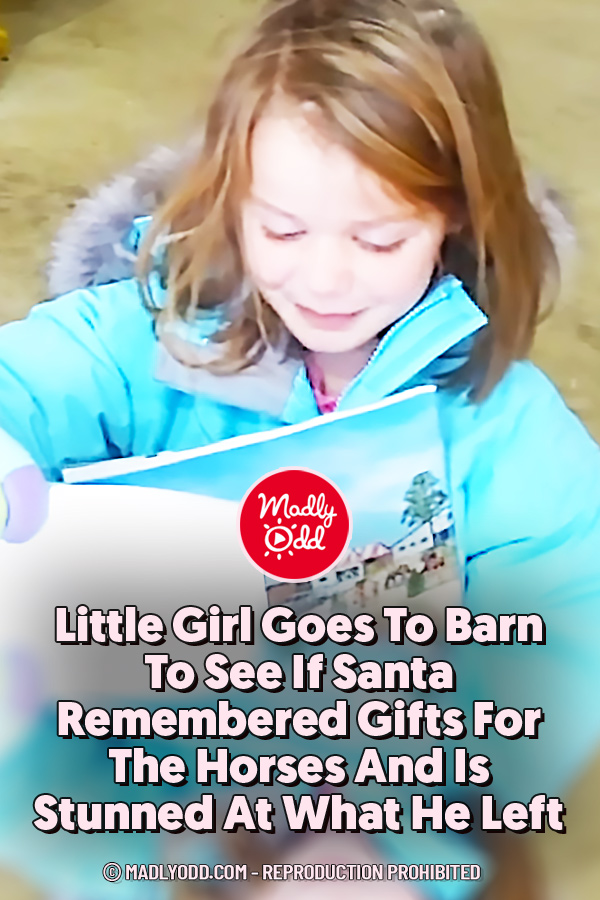 Little Girl Goes To Barn To See If Santa Remembered Gifts For The Horses And Is Stunned At What He Left