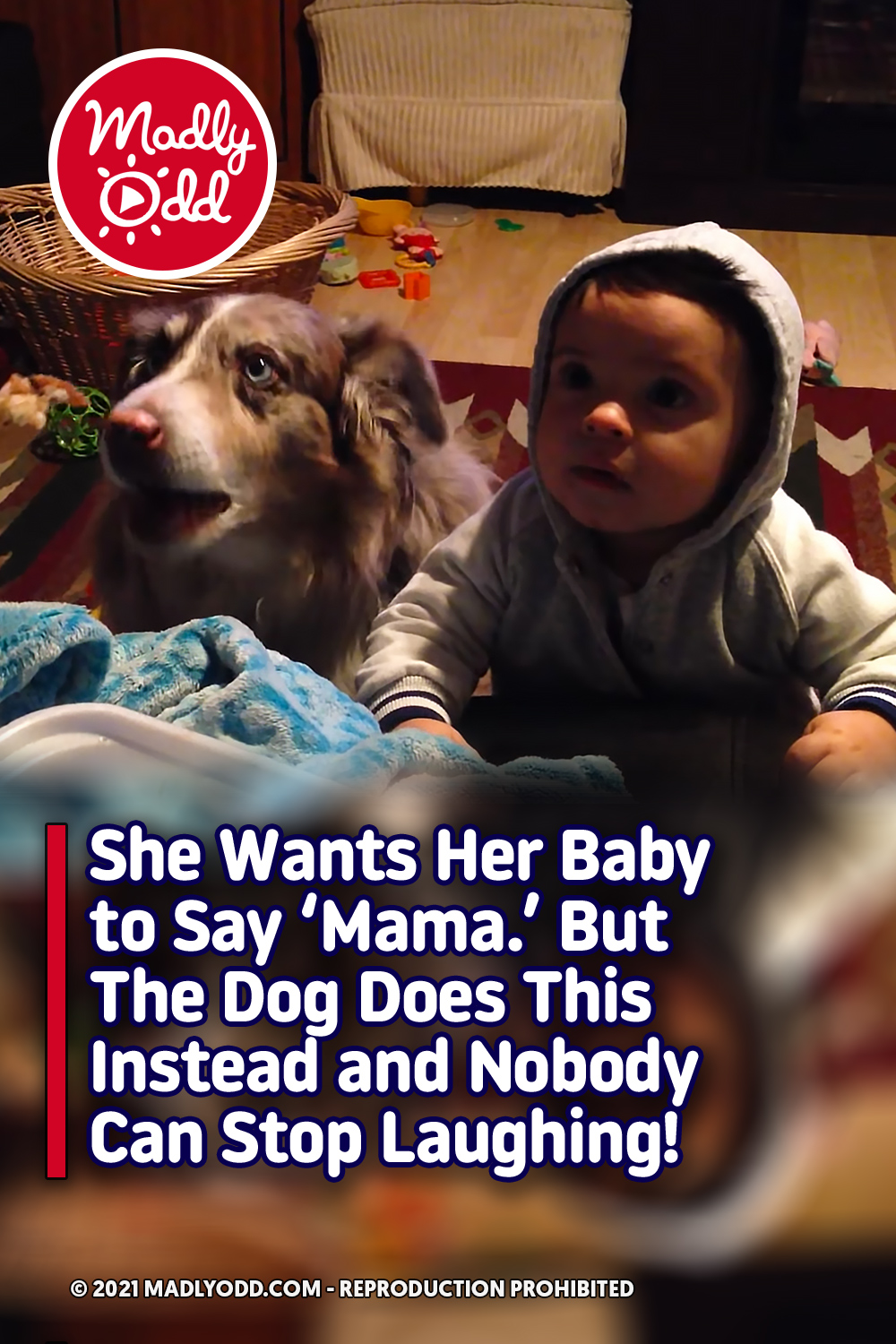 She Wants Her Baby to Say \'Mama.\' But The Dog Does This Instead and Nobody Can Stop Laughing!