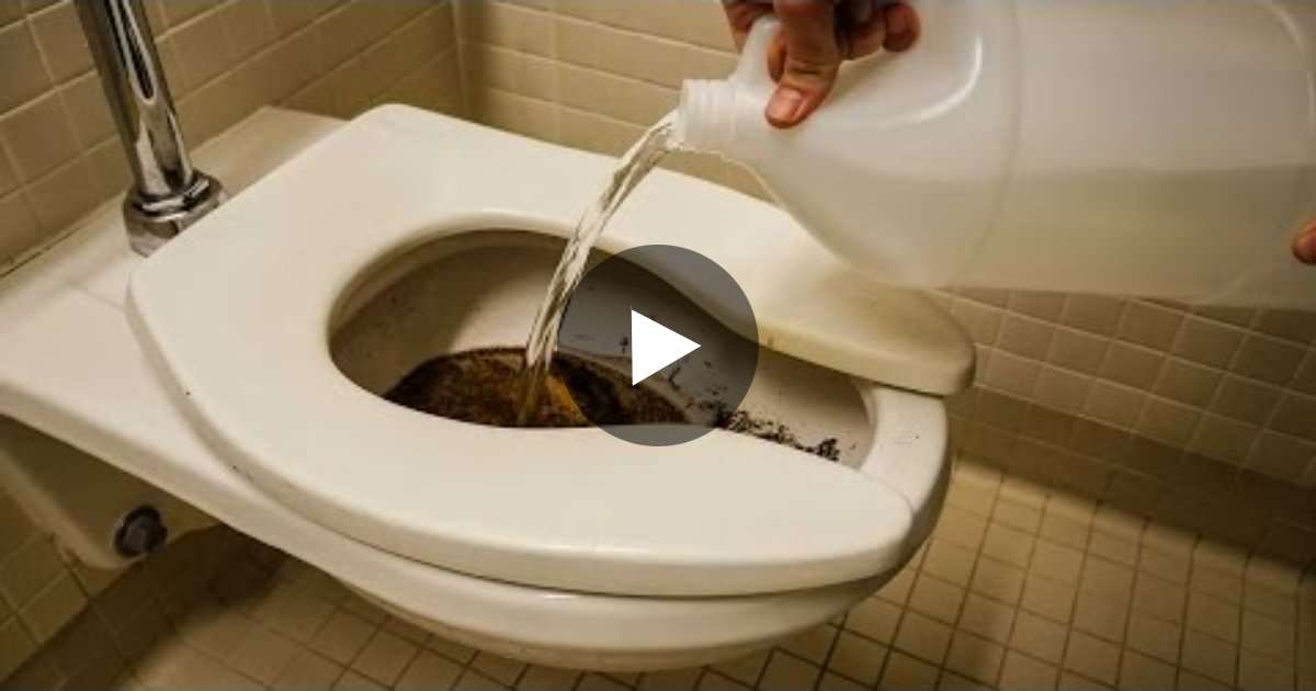 “Pouring VINEGAR Down The Toilet?? YES!! Watch The Video To See WHY