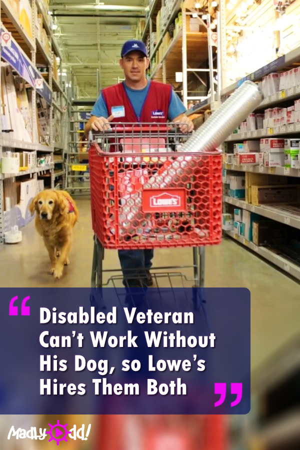 Disabled Veteran Can’t Work Without His Service Dog, so Lowe’s Hires Them Both