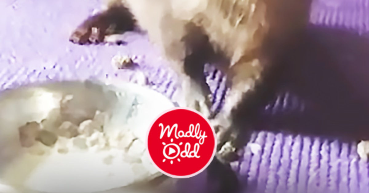 Pinterest Hidden Image