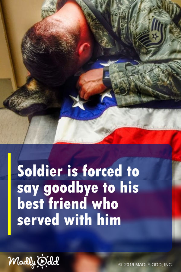 Soldier is forced to say goodbye to his best friend who served with him