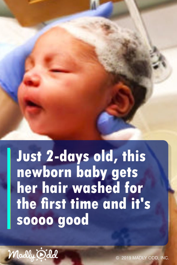 Just 2-days old, this newborn baby gets her hair washed for the first time and it\'s soooo good