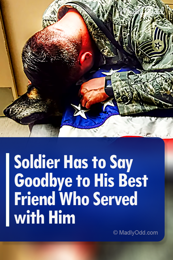 Soldier Has to Say Goodbye to His Best Friend Who Served with Him