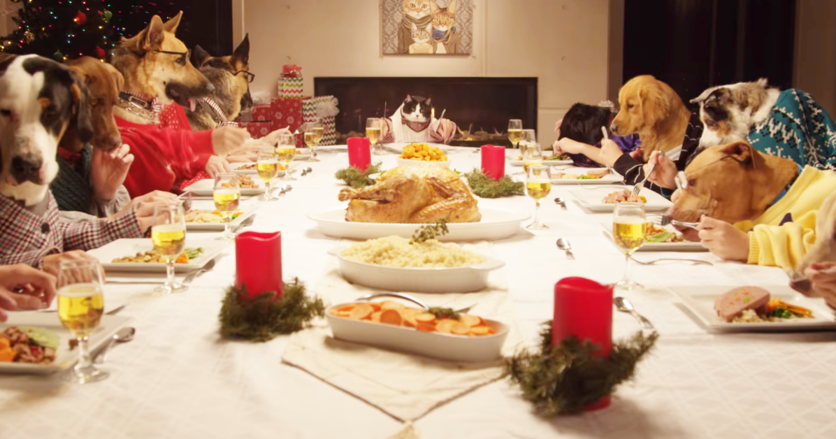 dogs eat christmas dinner funny video