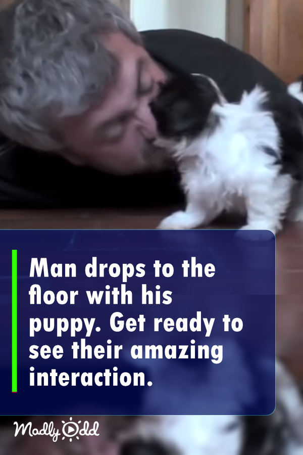 Man drops down to the floor with his puppy. Get ready to see their amazing interaction