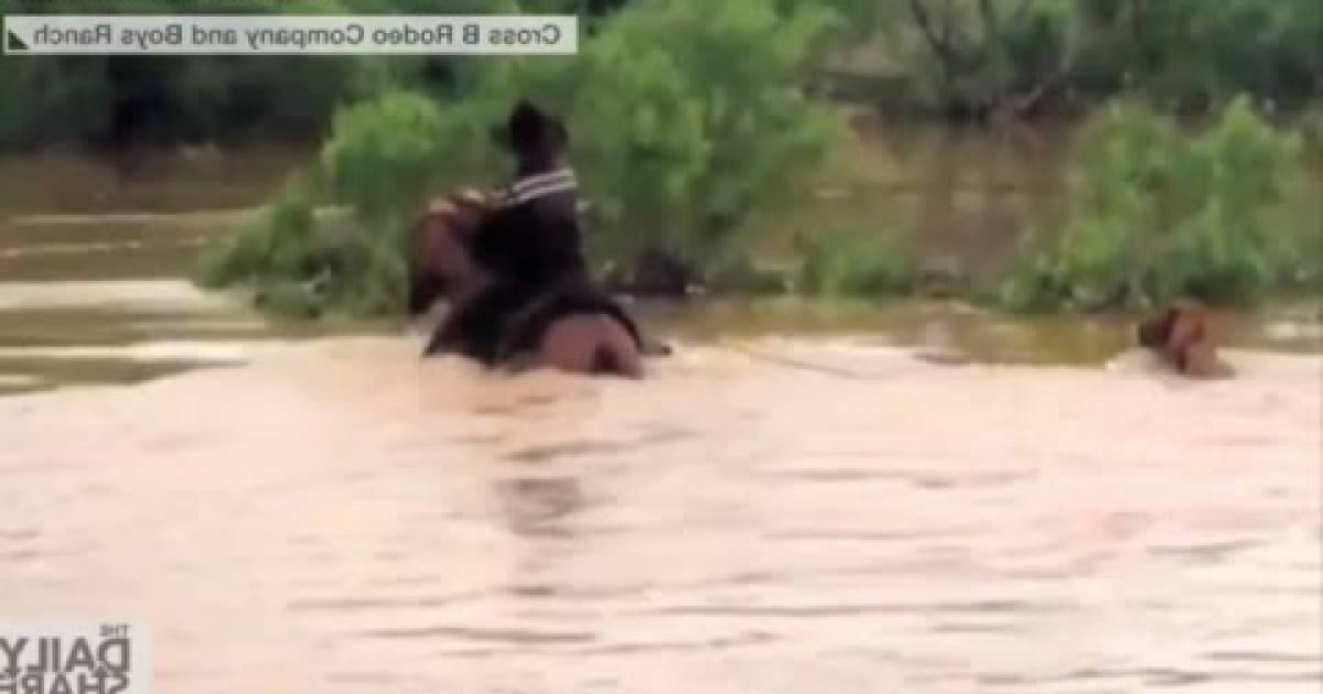 31 Horses About To Drown In A Flood, Watch What The Cowboy Does. I’m In