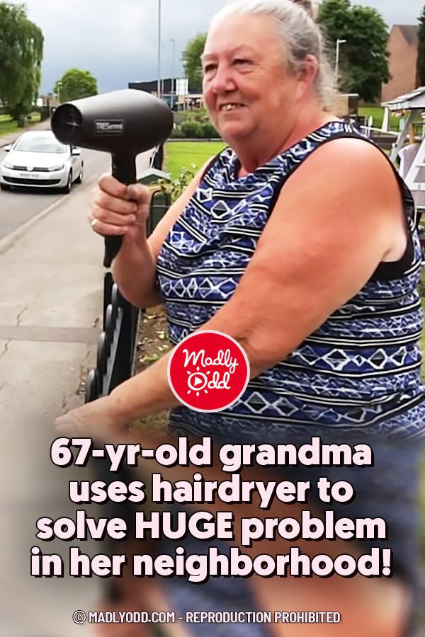 67-yr-old grandma uses hairdryer to solve HUGE problem in her neighborhood!