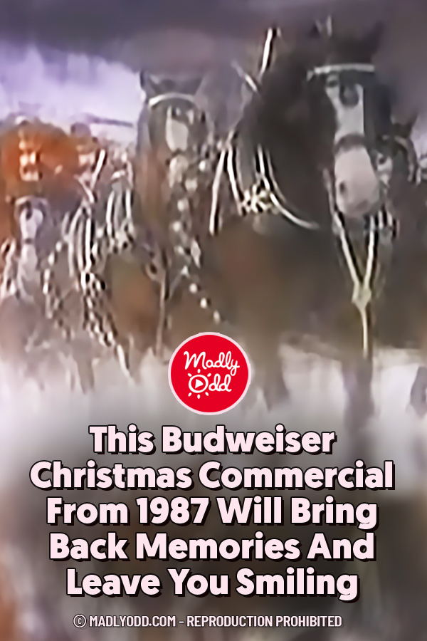 This Budweiser Christmas Commercial From 1987 Will Bring Back Memories And Leave You Smiling