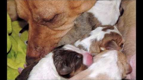 A Hidden Pregnancy And A Surprise Revelation! – Madly Odd!