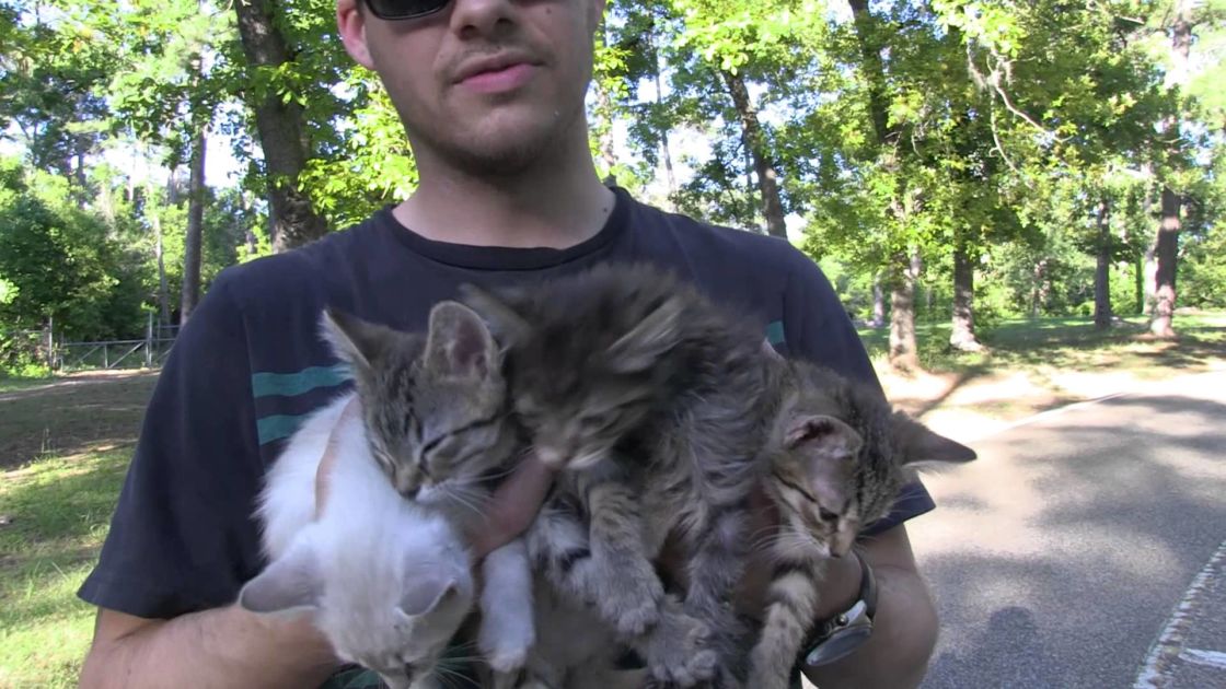 They Found Some Abandoned Babies In The Middle Of The Woods. What They