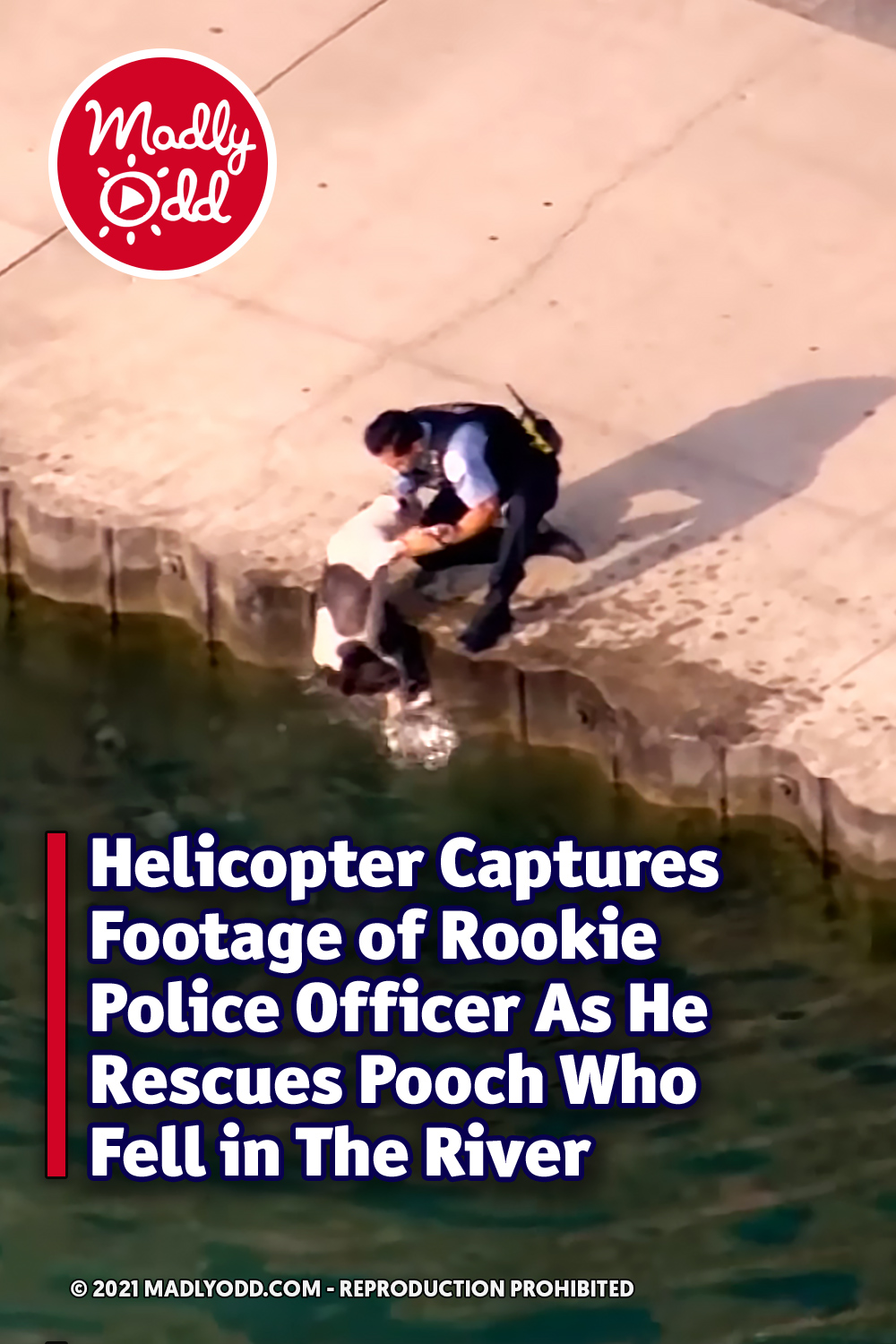 Helicopter Captures Footage of Rookie Police Officer As He Rescues Pooch Who Fell in The River