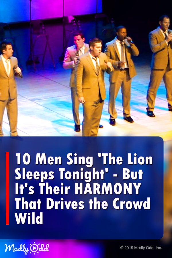 10 Men Sing \'The Lion Sleeps Tonight,\' But It\'s Their HARMONY That Drives the Crowd Wild