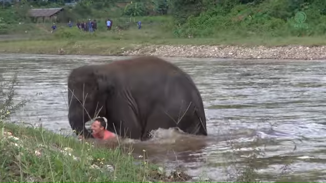 Elephant Come To Rescue People 0 37 Screenshot