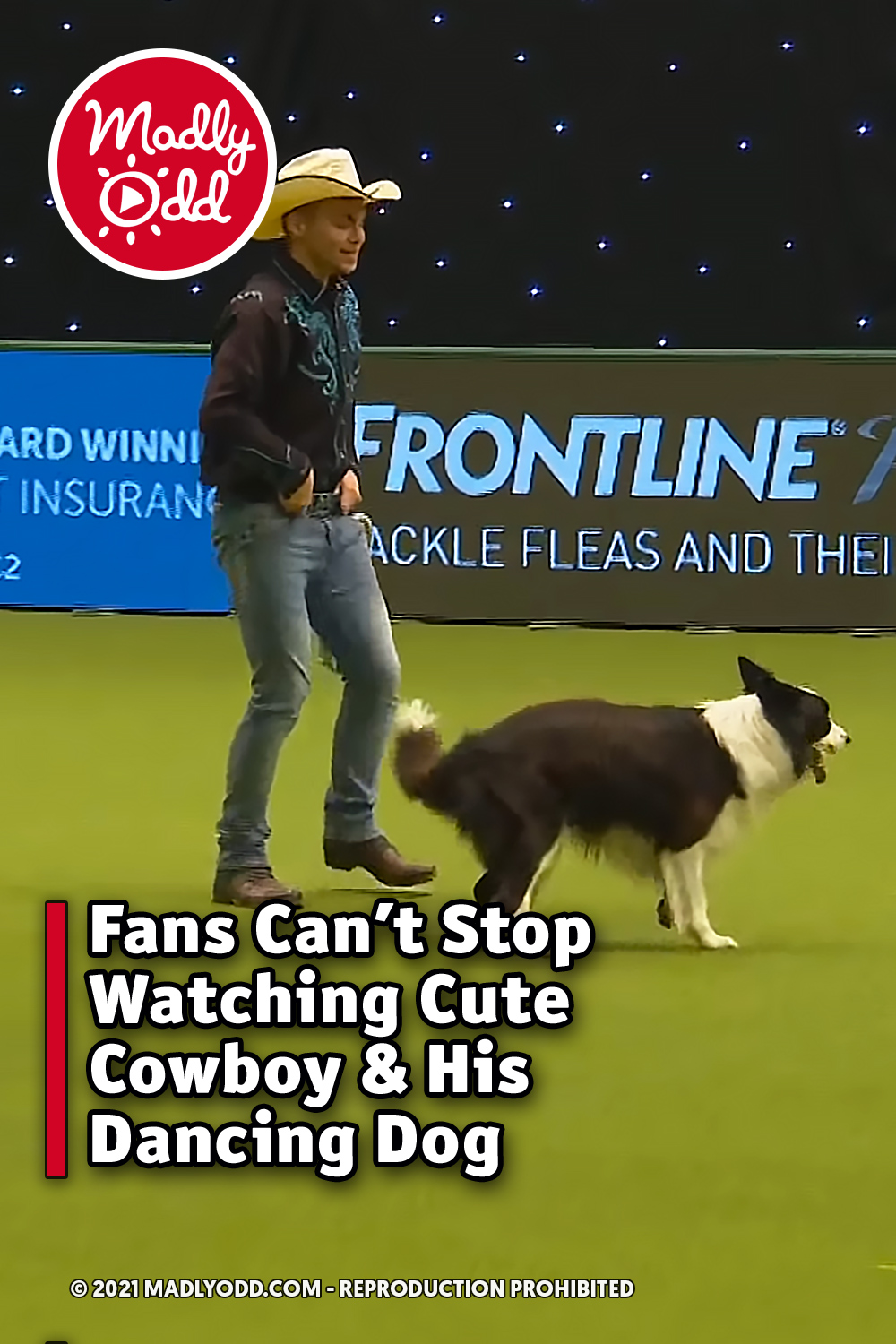 Fans Can\'t Stop Watching Cute Cowboy & His Dancing Dog