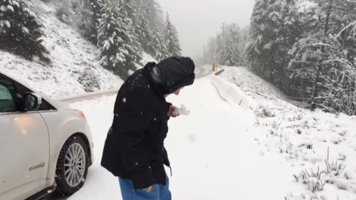 Grandma stops car to play in snow