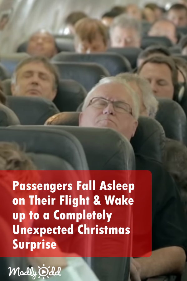 Passengers Fall Asleep on Their Flight & Wake Up to a Completely Unexpected Christmas Surprise