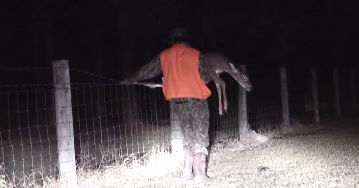 Hunter Saves Trapped Buck