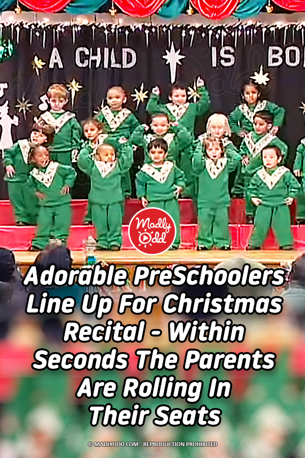 Adorable PreSchoolers Line Up For Christmas Recital - Within Seconds The Parents Are Rolling In Their Seats