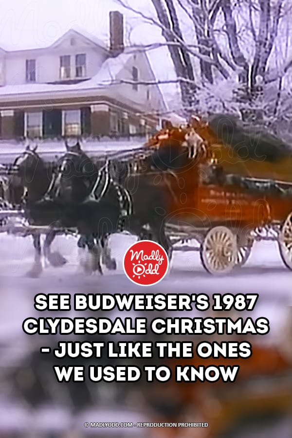 See Budweiser\'s 1987 Clydesdale Christmas  - Just Like The Ones We Used To Know