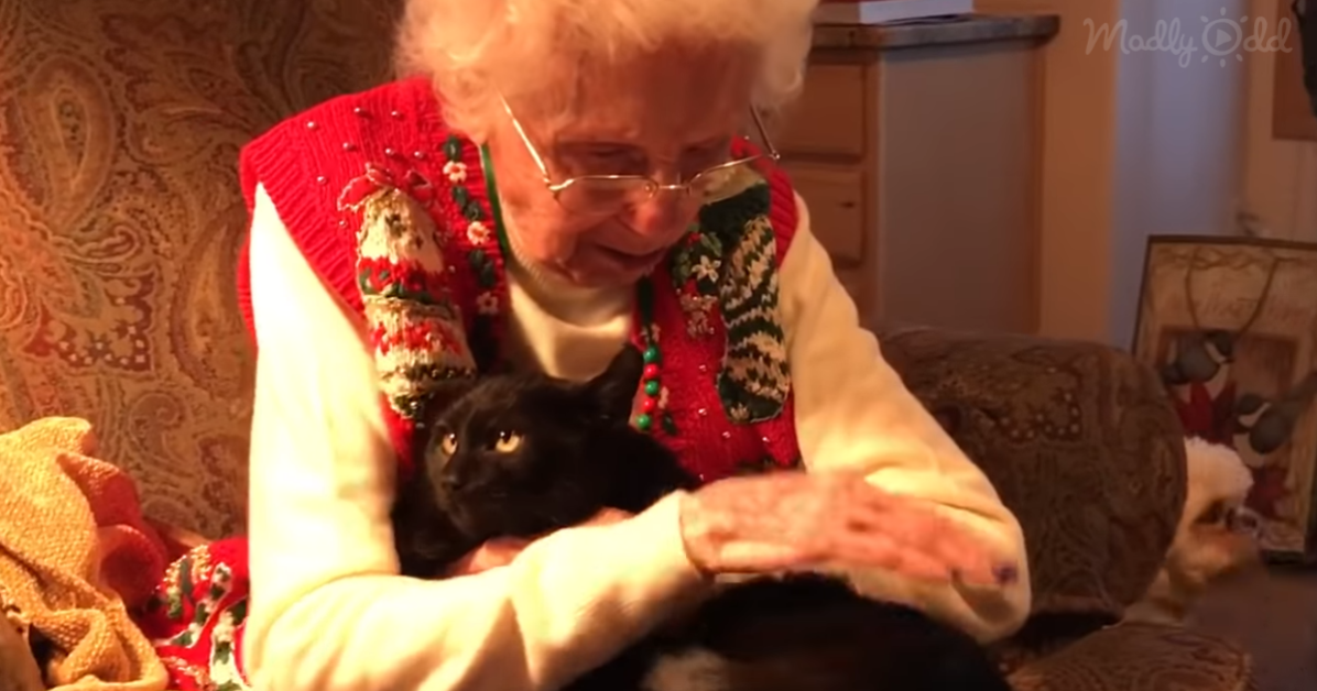 Grandma Gets A Kitten for Christmas