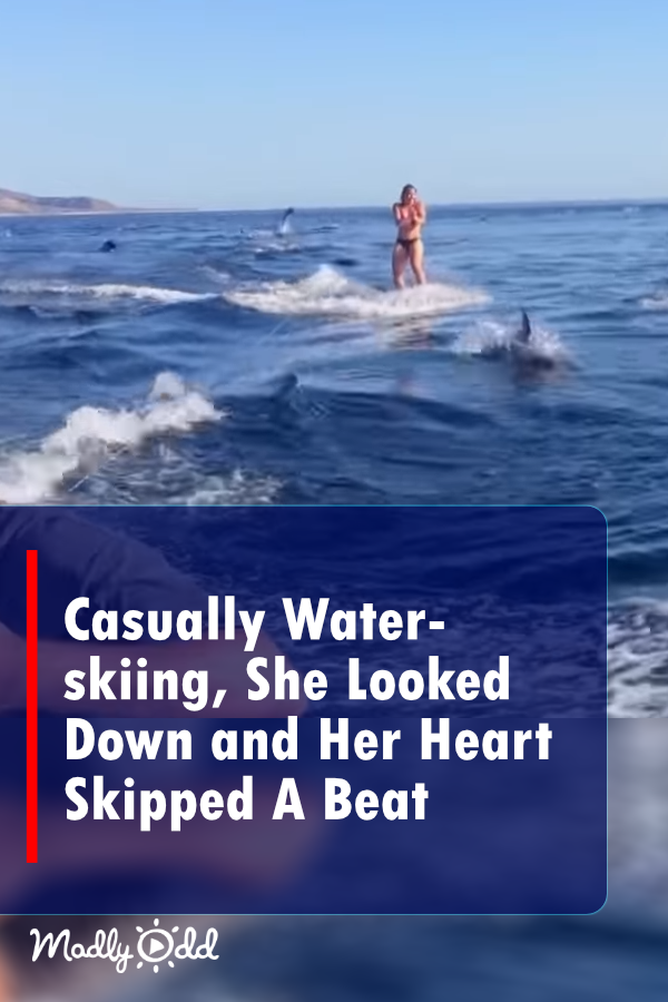 She Was Casually Water-Skiing, Then When She Looks Down - Her Heart Skips A Beat