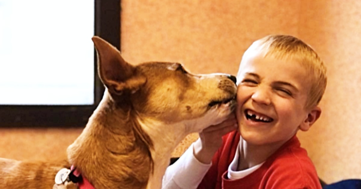 A boy in a red shirt smiles as a dog licks his cheek.