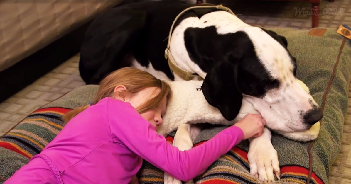dog laying down with girl