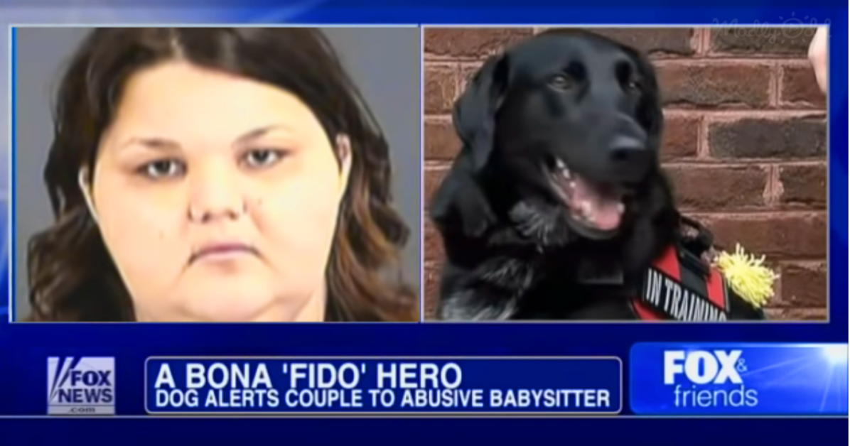 Baby Couldn&#39;t Tell His Parents About Babysitter Abuse Nightmare — But Their Dog Could