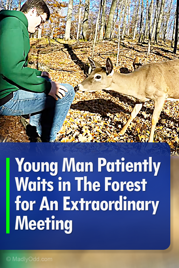 Young Man Patiently Waits in The Forest for Extraordinary Meeting