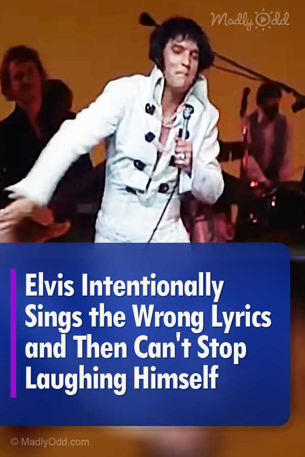 Elvis Intentionally Sings the Wrong Lyrics and Then Can\'t Stop Laughing Himself