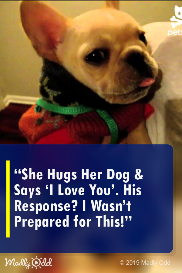 She Hugs Her Dog and Says \'I Love You\'. His Response? I Wasn’t Prepared For This!