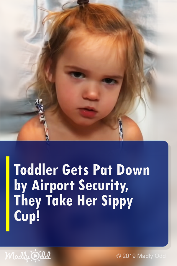 Toddler gets pat down by airport security, they take her sippy cup!