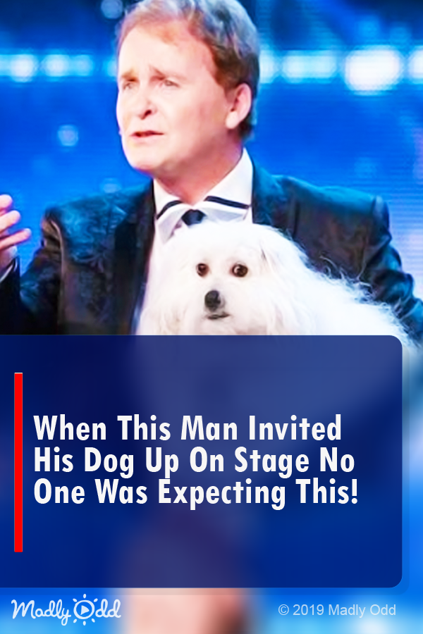 When This Man Invited His Dog Up On Stage No One Was Expecting This!