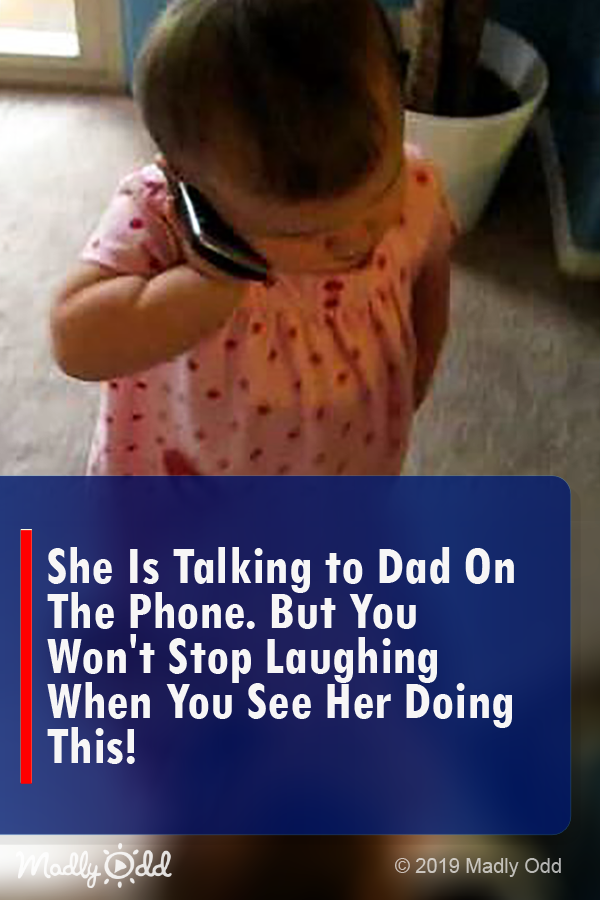 She Is Talking To Dad On The Phone. But You Won’t Stop Laughing When You See Her Doing THIS!