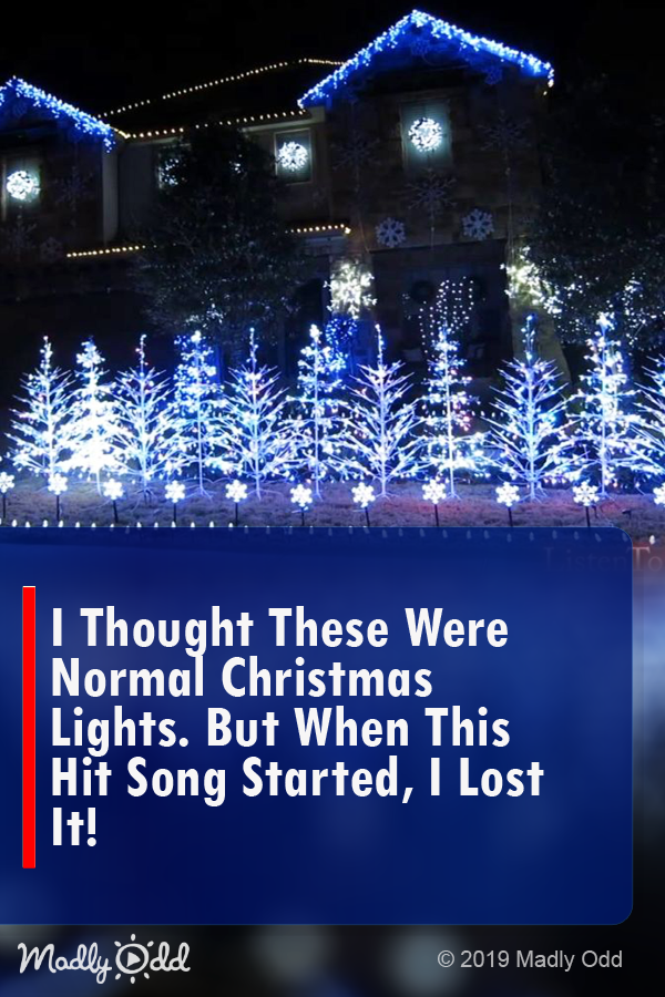 I Thought These Were Normal Christmas Lights. But When This Song Started, I Lost It!