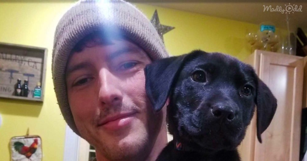 Deaf Man Rescues Deaf Puppy OG1