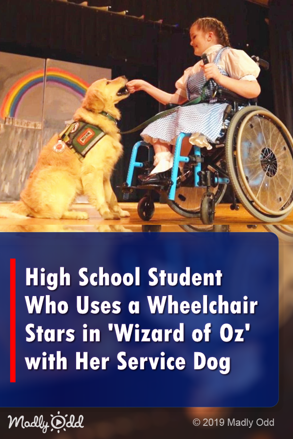 High School Student Who Uses a Wheelchair Stars in \'Wizard of Oz\' with Her Service Dog