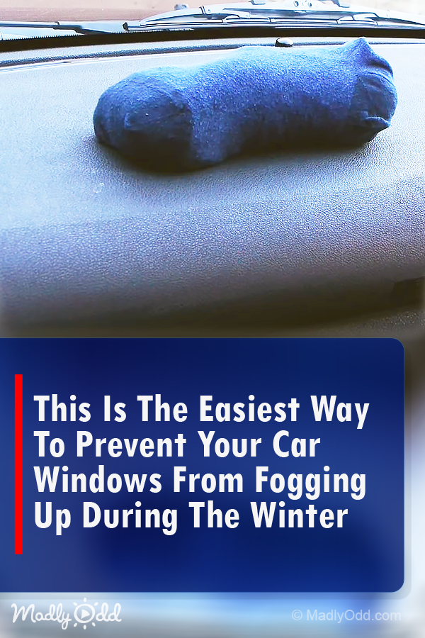 This is the Easiest Way to Prevent Your Car Windows from Fogging Up During the Winter