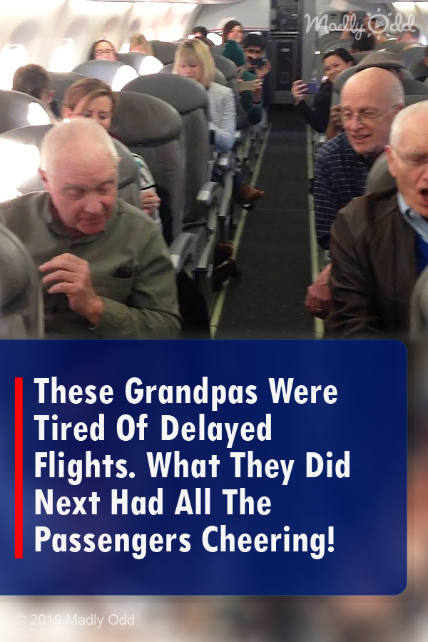 These Grandpas Were Tired Of Delayed Flights. What They Did Next Had All The Passengers Cheering!