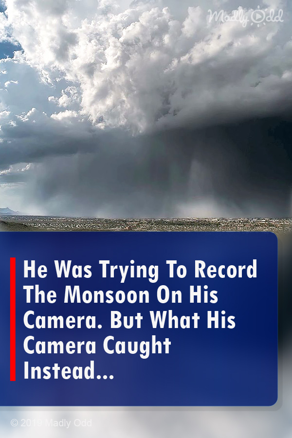 He Was Trying To Record The Monsoon On His Camera. But What His Camera Caught Instead...