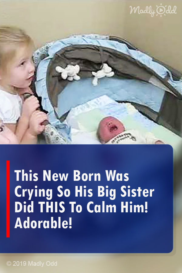 This New Born Was Crying So His Big Sister Did THIS To Calm Him! Adorable!
