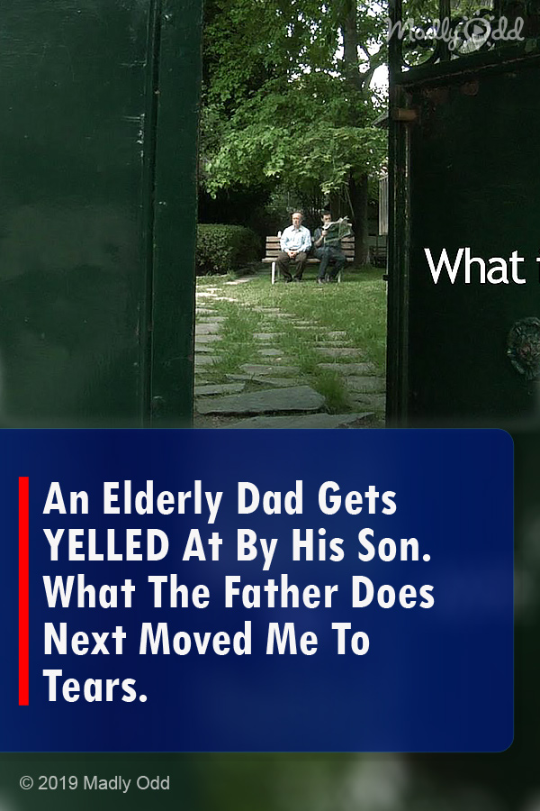 An Elderly Dad Gets YELLED At By His Son. What The Father Does Next Moved Me To Tears.