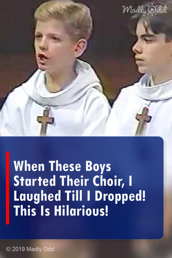 When These Boys Started Their Choir, I Laughed Till I Dropped! This Is Hilarious!