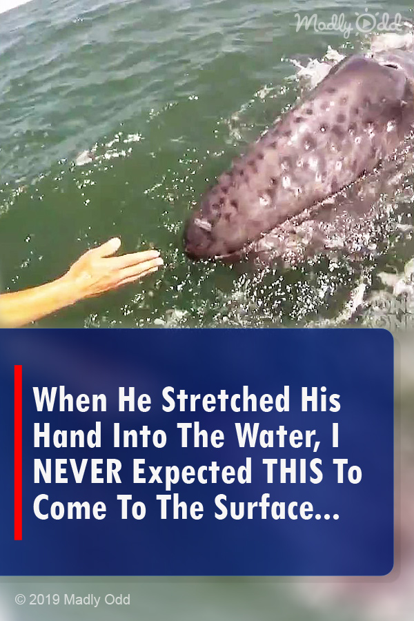 When He Stretched His Hand Into The Water, I NEVER Expected THIS To Come To The Surface...