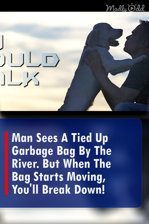 Man Sees A Tied Up Garbage Bag By The River. But When The Bag Starts Moving, You\'ll Break Down!