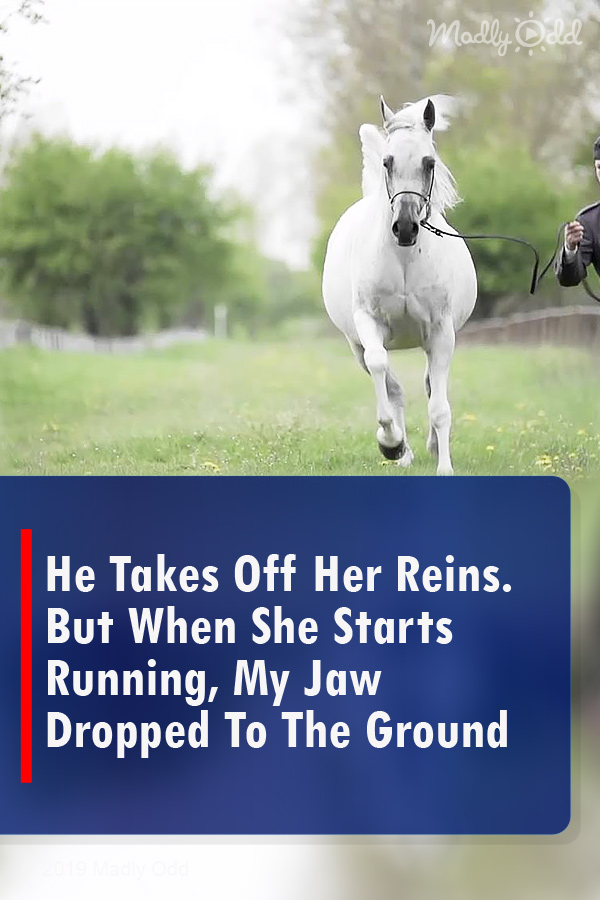 He Takes Off Her Reins. But When She Starts Running, My Jaw Dropped To The Ground